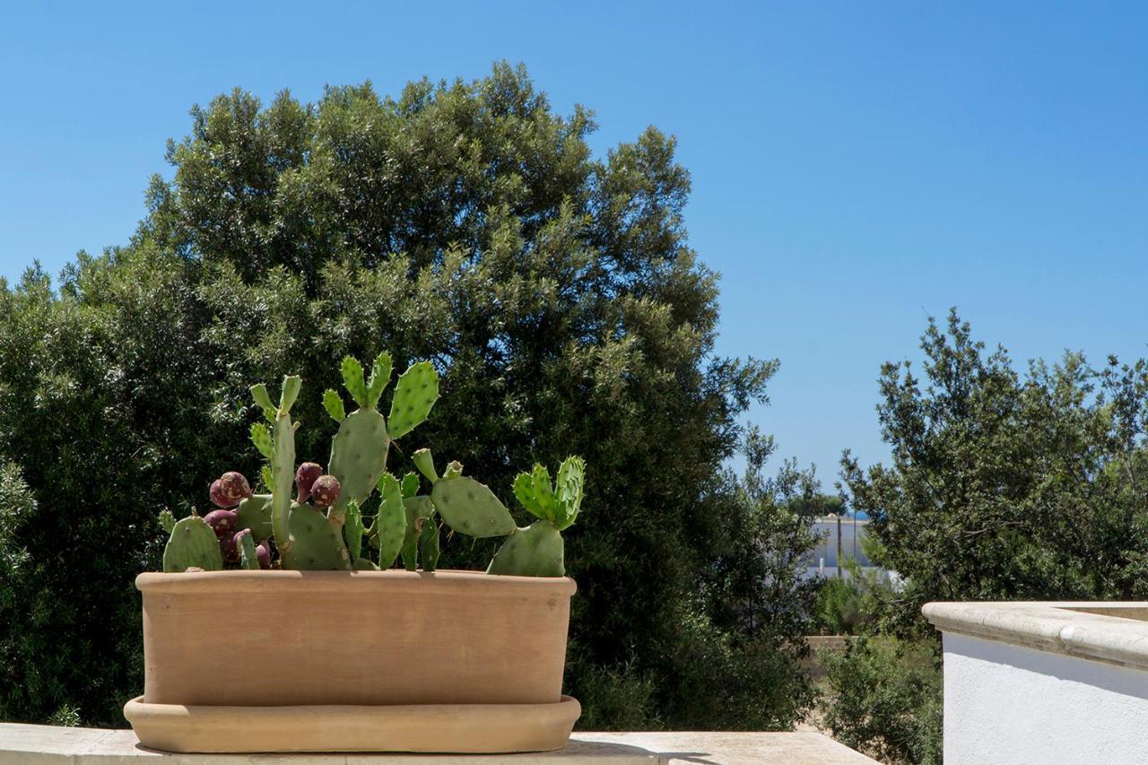 Antonella B&B Santa Maria di Leuca Exterior foto